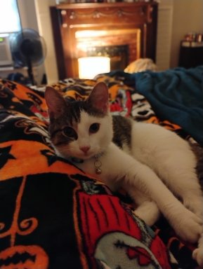Willow's photo